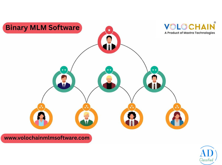 Affordable Binary MLM Software - Free Demo Available