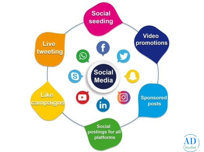 Top Social Media Marketing Agency in Gurgaon – Amaytics