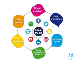 Top Social Media Marketing Agency in Gurgaon – Amaytics