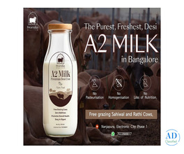 Buy Pure A2 milk near Electronic city, Bengaluru