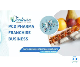 PCD Pharma Franchise Business in India