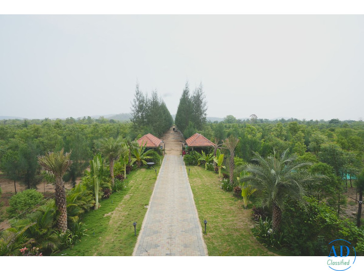 Top Tips for Investing in Agricultural Land in Maharashtra