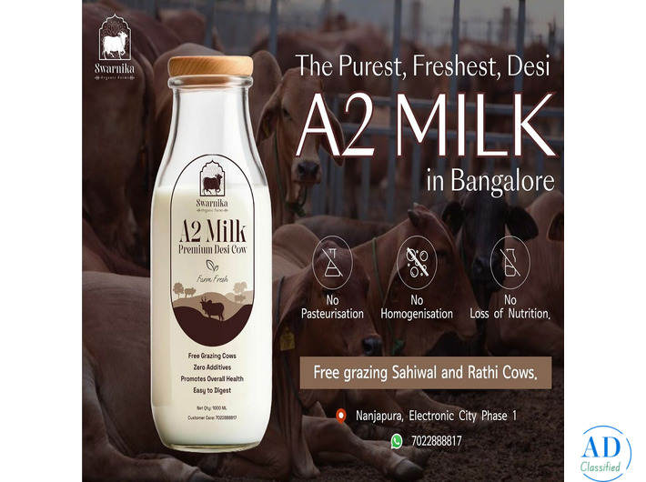 Fresh cow milk in electronic city Bangalore