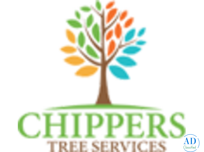 Tree Pruning Services in Dallas Fort Worth