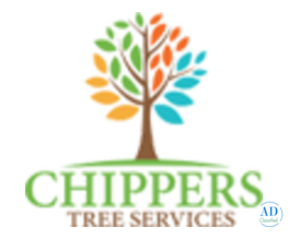 Tree Pruning Services in Dallas Fort Worth