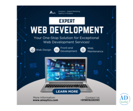 Expert Website Developer Company in Gurgaon | Amaytics