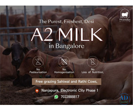 PURE cow milk in Bangalore