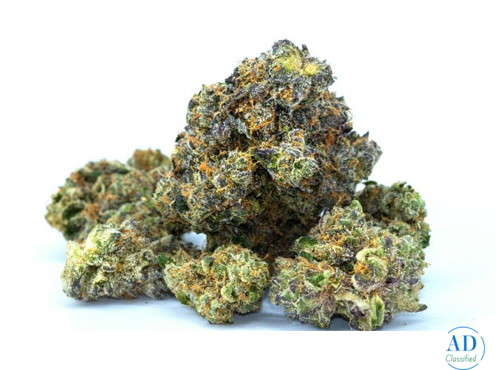 Gelato Indica Cannabis Strain – Premium Flavor & Potency