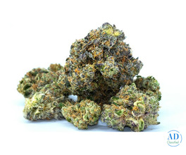 Gelato Indica Cannabis Strain – Premium Flavor & Potency