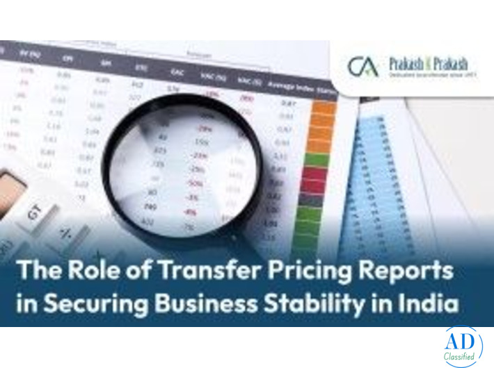 Expert Transfer Pricing Reports for India Compliance