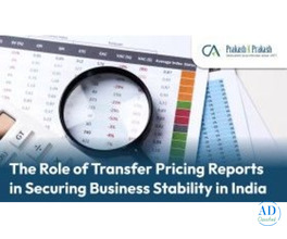 Expert Transfer Pricing Reports for India Compliance