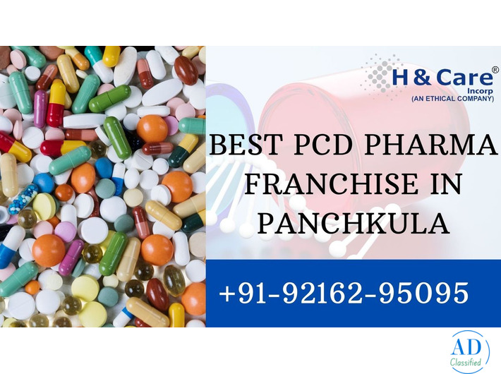 Top PCD Pharma Companies in India – Franchise Opportunity with H & Care Incorp