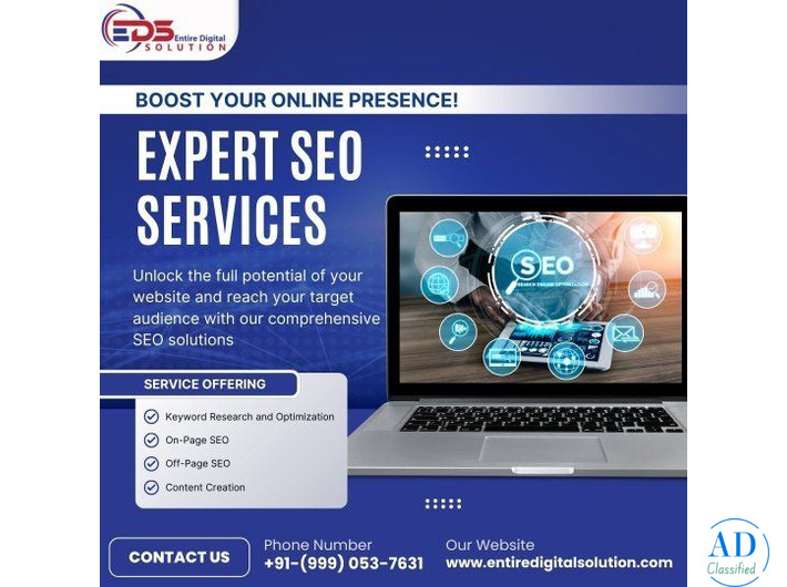 Professional SEO Services in Noida