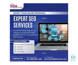 Professional SEO Services in Noida