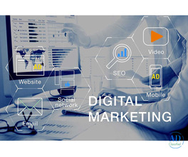Best Digital Marketing Company in Chandigarh