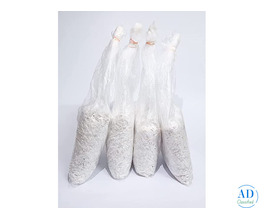 Premium Oyster Mushroom Spawn: Strong Mycelium for Growing Mushrooms That Work