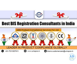 BIS Registration Consultants