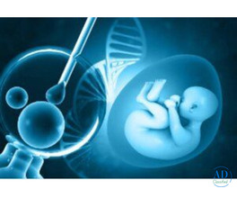 Most Affordable Nursing Home in Teghoria – Trusted &amp; Quality Care at Uma Medical