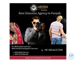Best Detective in Jalandhar, Punjab