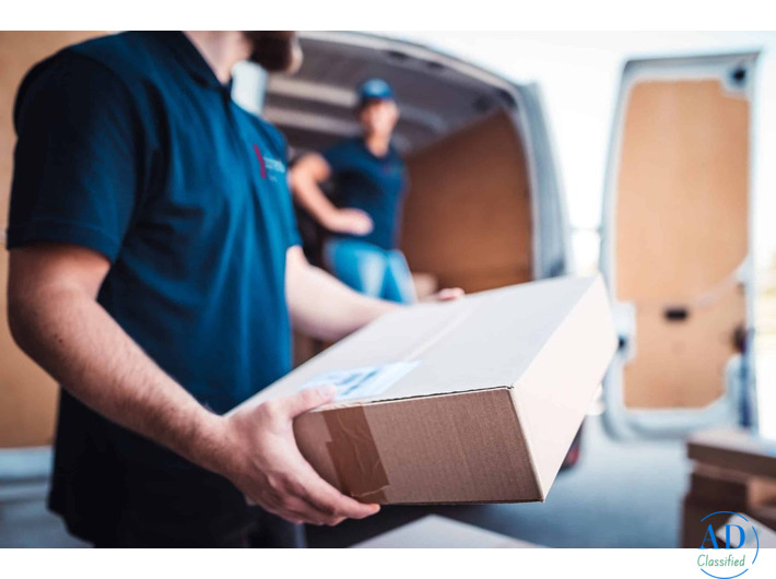 Trusted Domestic Courier Service in India at Best Rates