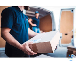 Trusted Domestic Courier Service in India at Best Rates