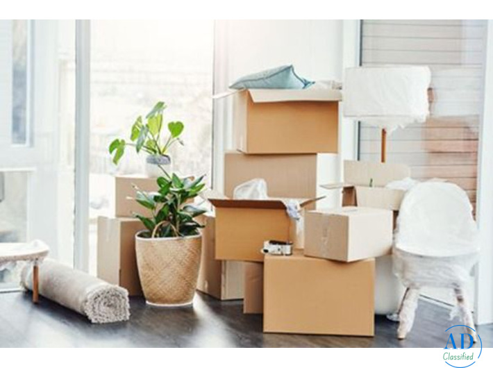 Best movers and packers in Rajkot