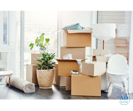 Best movers and packers in Rajkot