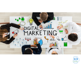 Need the Best Digital Marketing Agency in Jaipur?