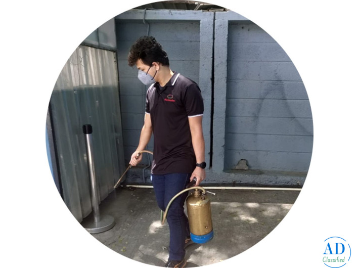 Pest Control Services in Bangalore | Safe & Effective Solutions