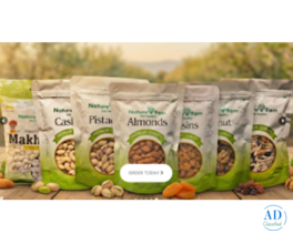 Premium Dry Fruits Online Shop | Fresh & Healthy