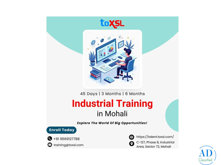 6 Months Industrial Training in Mohali for Career Focused Students | ToXSL Technologies