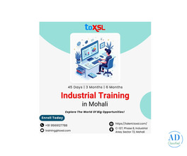 6 Months Industrial Training in Mohali for Career Focused Students | ToXSL Technologies