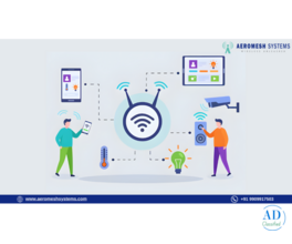 Designing a Wireless Mesh Network for Harsh Environments