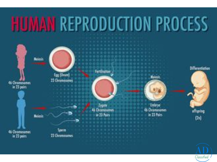What Is the IVF Cost in Delhi? Full Guide