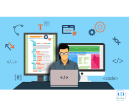 LOOKING FOR WEB DEVELOPER IN SALEM