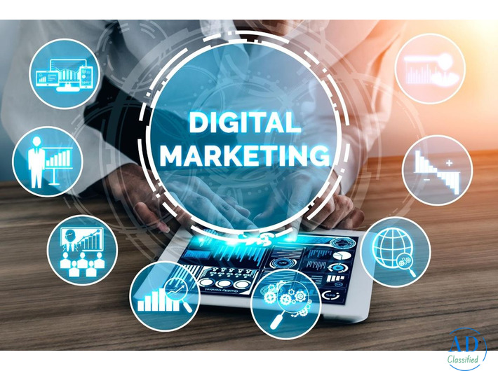 Looking for Digital Marketing Trainer in Salem