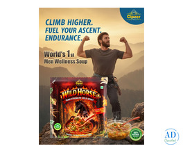 Ignite the Alpha Within: Cipzer Wild Horse Plus Soup for Men
