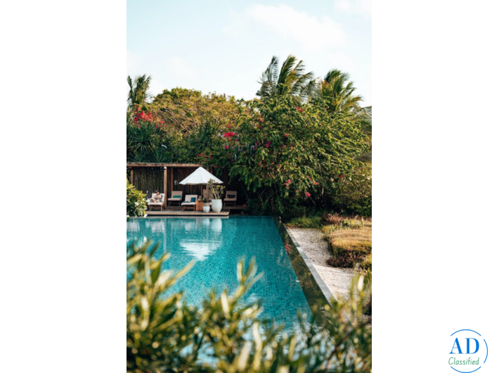 Big Monkey Productions – Goa’s Experts in Visual Storytelling