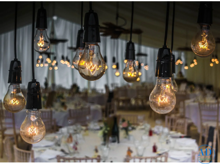 Big Monkey Productions – Goa’s Experts in Visual Storytelling