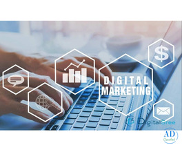 Looking for Digital Marketing in Salem