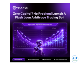 Flash loan arbitrage bot development company