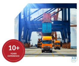 Professional Cargo Forwarding Services