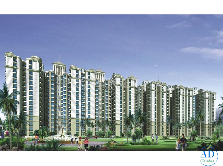 What is the location of Amrapali Princely Estate?