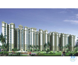 What is the location of Amrapali Princely Estate?