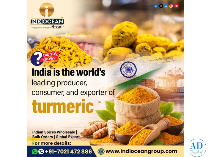 Organic Turmeric Powder Suppliers Kharghar