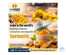 Organic Turmeric Powder Suppliers Kharghar
