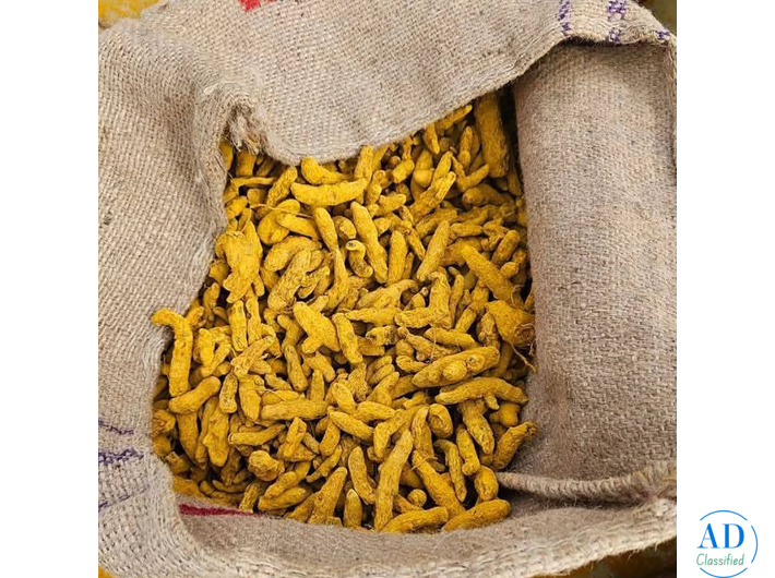 Navi Mumbai Spice Wholesale Market