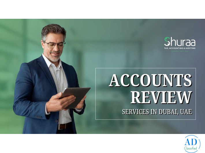 Expert Accounts Review Services to Improve Financial Accuracy