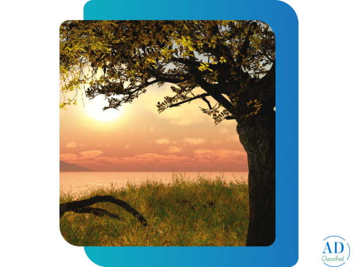 Depression Treatment Ontario