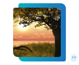 Anger Management Therapy Ontario